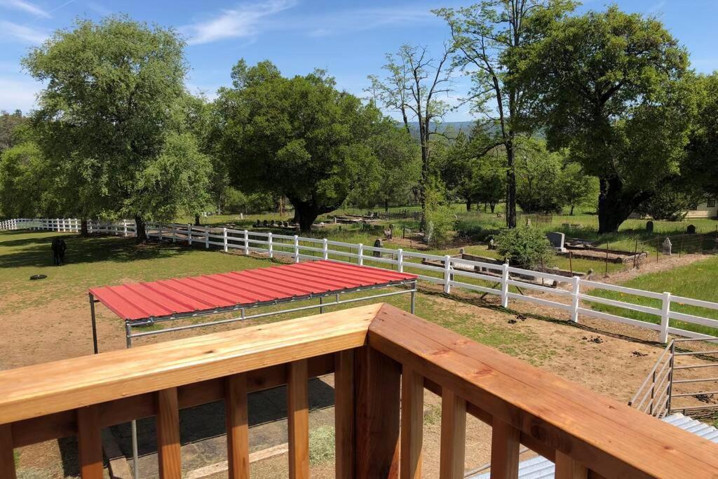 파일럿힐 Amazing Loft On Horse Ranch 아파트 외부 사진