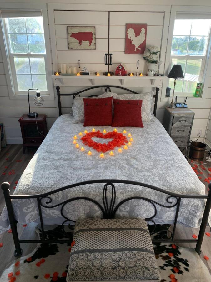 파일럿힐 Amazing Loft On Horse Ranch 아파트 외부 사진